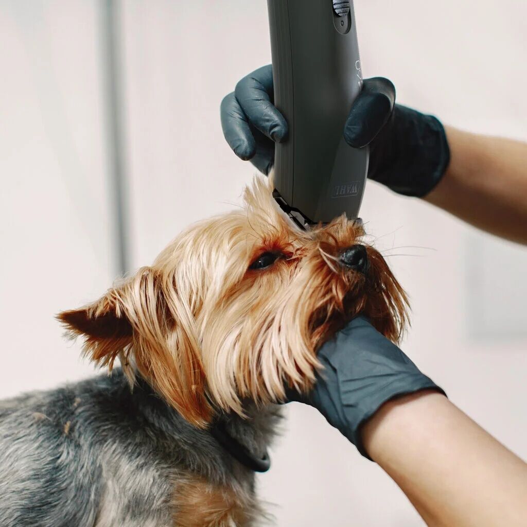 Wahl Max 60 Pet Clipper