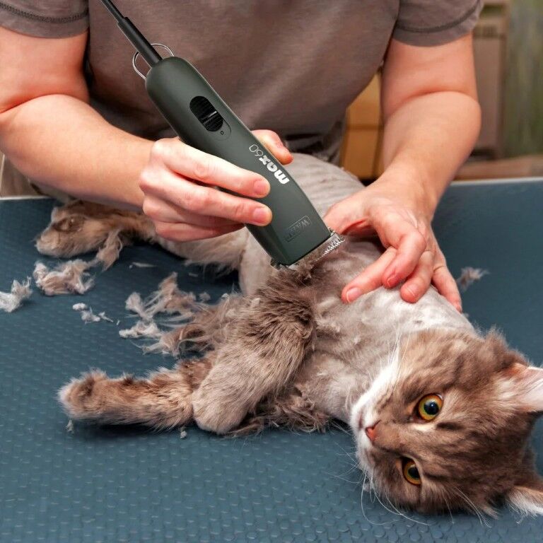 Wahl Max 60 Pet Clipper