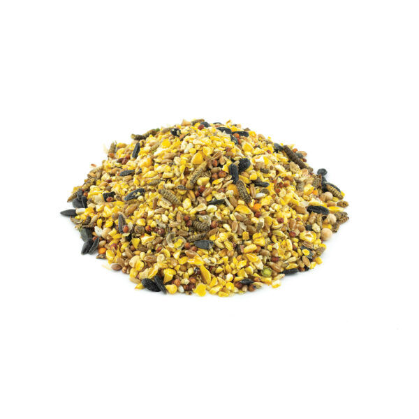 Kruse's Perfection Super Grains With Grubs Poultry Treats, 40-Lb