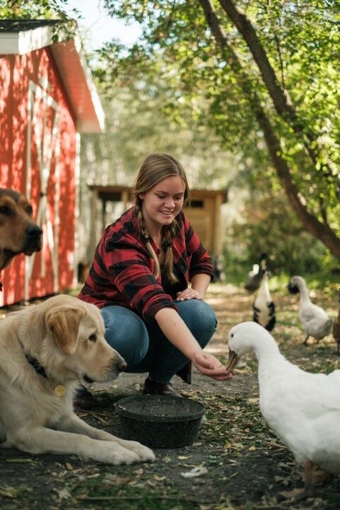 HealthiStraw FarmStraw Fine Premium Animal Bedding, 12-Cu Ft