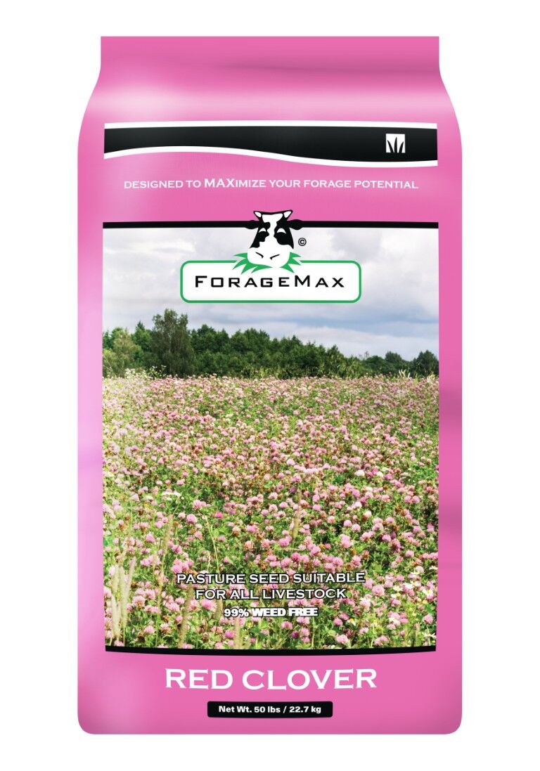 ForageMax Red Clover Seed, 50-Lb