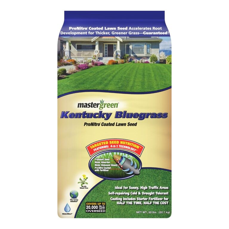 Mastergreen MasterGreen Kentucky Bluegrass Blend Grass Seed, 50-Lb