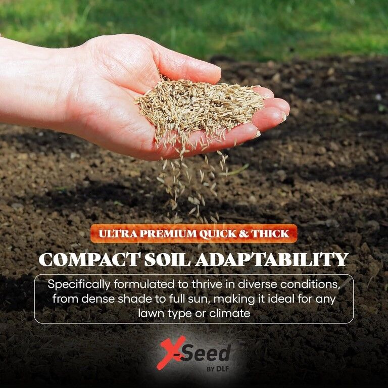 X-Seed Ultra Premium Quick & Thick Grass Seed Mixture, 3-Lb