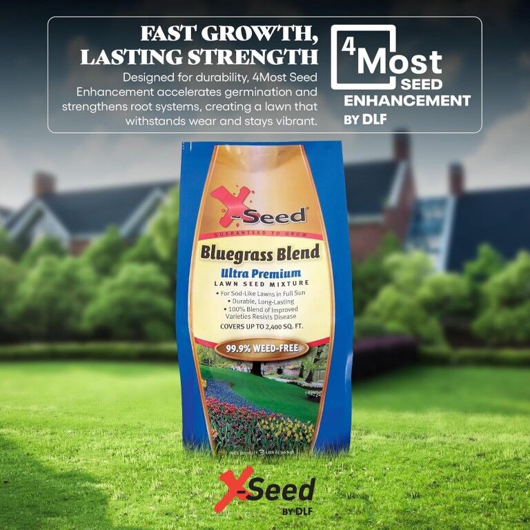X-Seed Ultra-Premium Bluegrass Blend Lawn Seed Mixture, 3-Lb