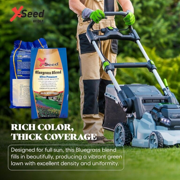 X-Seed Ultra-Premium Bluegrass Blend Lawn Seed Mixture, 3-Lb