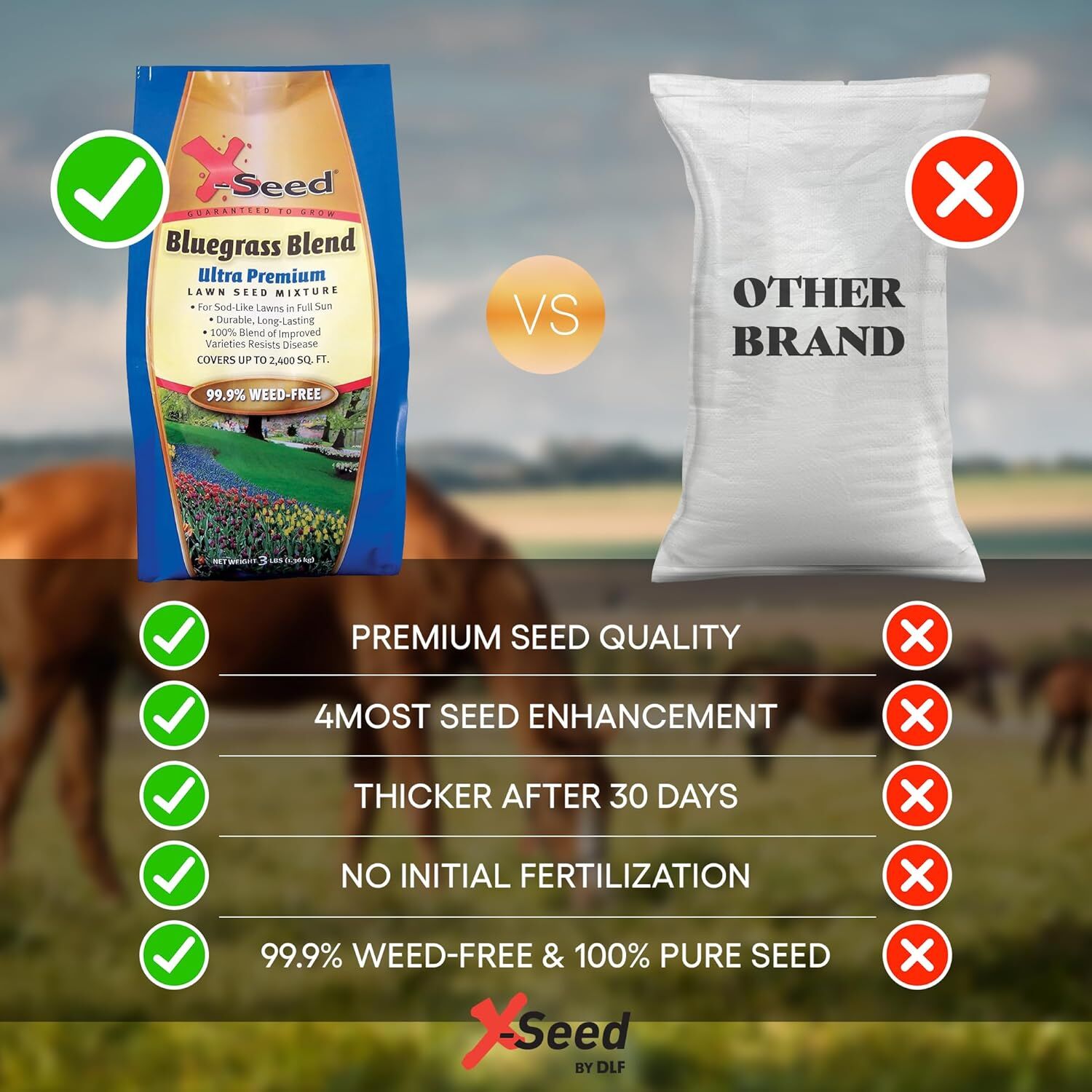 X-Seed Ultra-Premium Bluegrass Blend Lawn Seed Mixture, 3-Lb