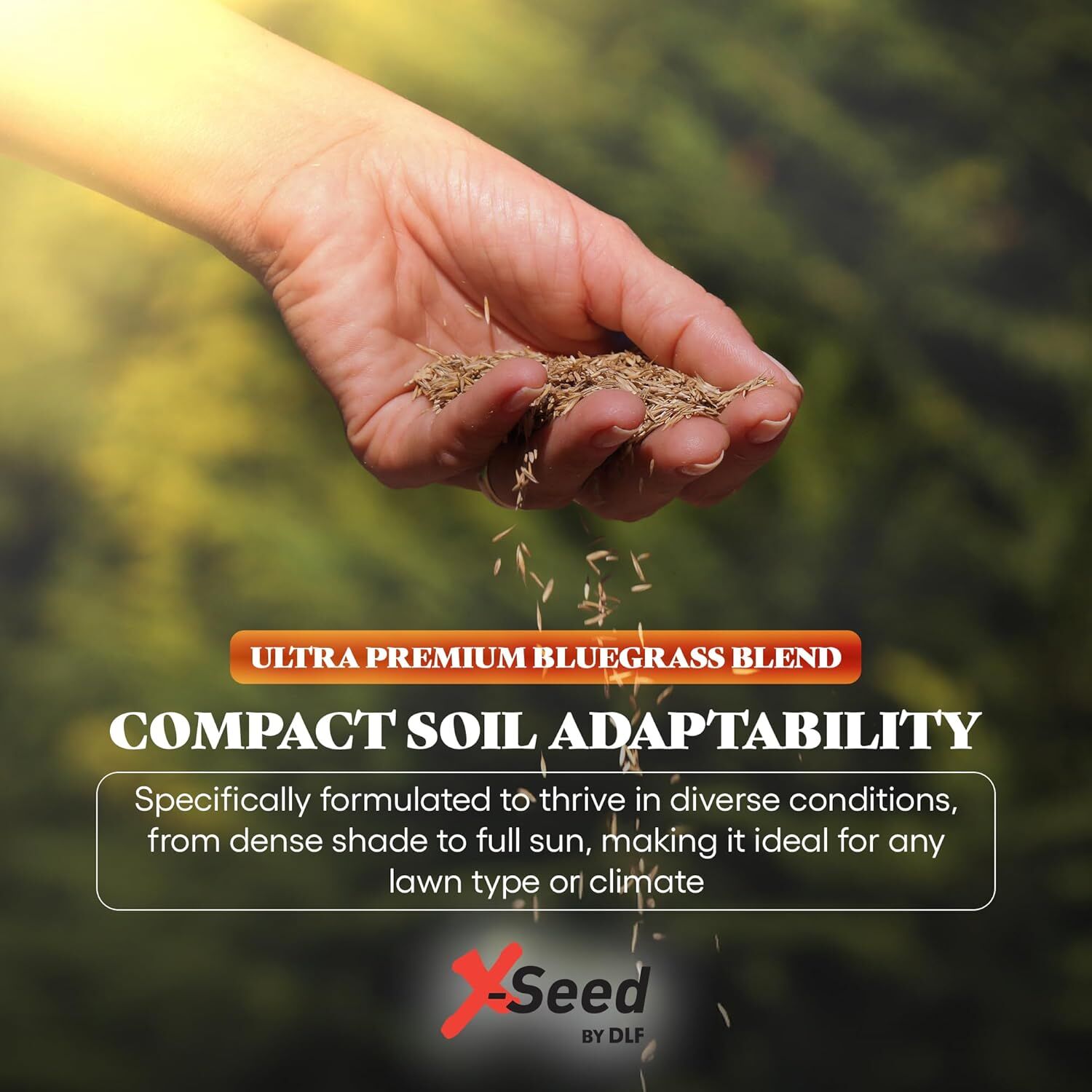 X-Seed Ultra-Premium Bluegrass Blend Lawn Seed Mixture, 3-Lb