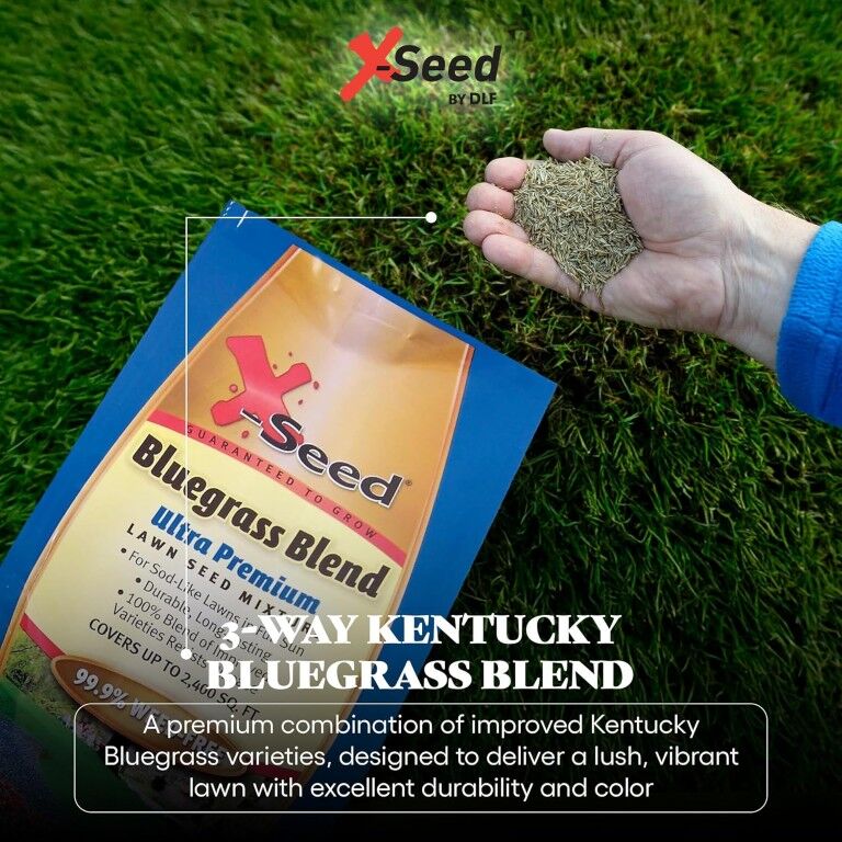 X-Seed Ultra-Premium Bluegrass Blend Lawn Seed Mixture, 3-Lb