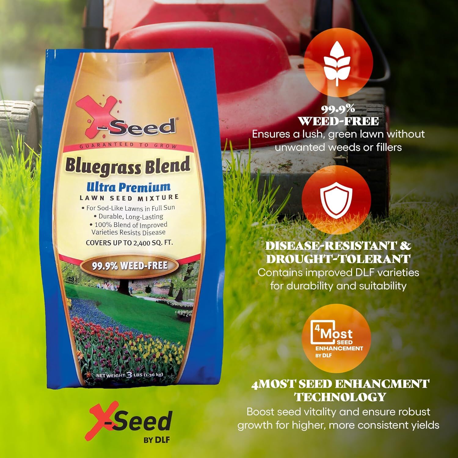 X-Seed Ultra-Premium Bluegrass Blend Lawn Seed Mixture, 3-Lb