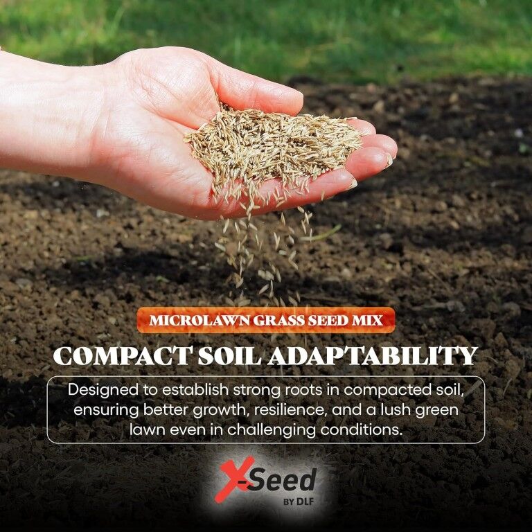 X-Seed Microlawn Grass Seed & Microclover Mixture, 5-Lb