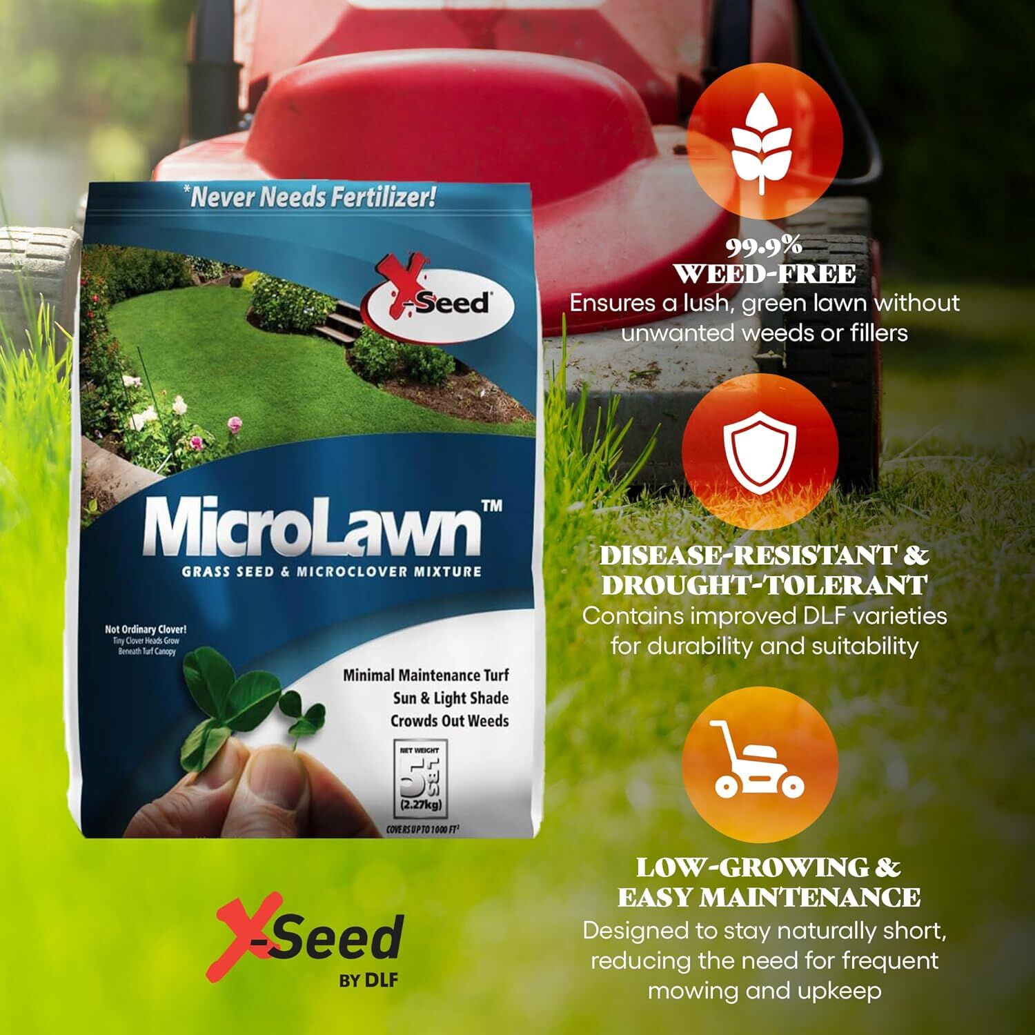 X-Seed Microlawn Grass Seed & Microclover Mixture, 5-Lb