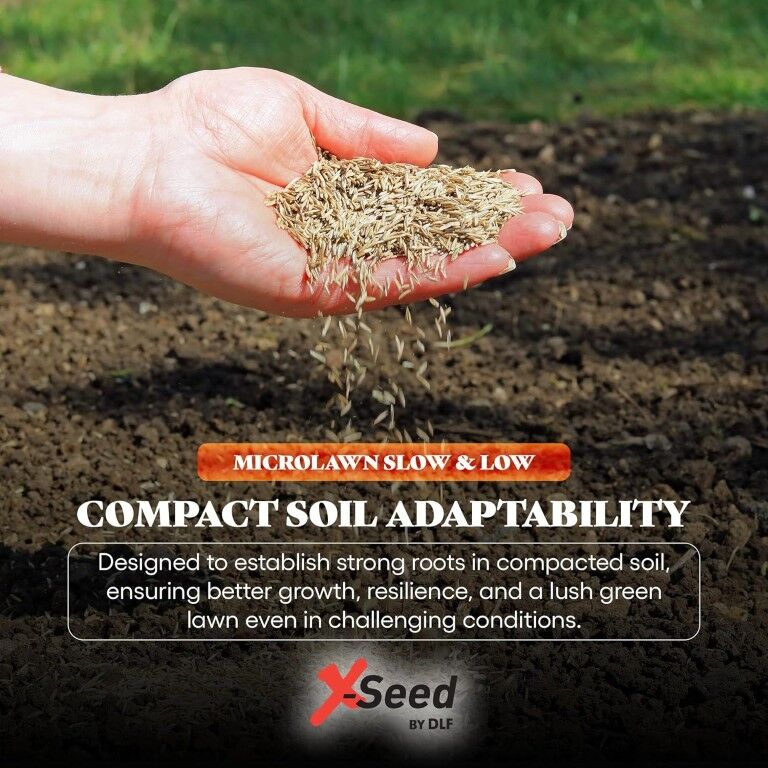 X-Seed MicroLawn Slow & Grow Select Lawn Seen Mixture, 5-Lb