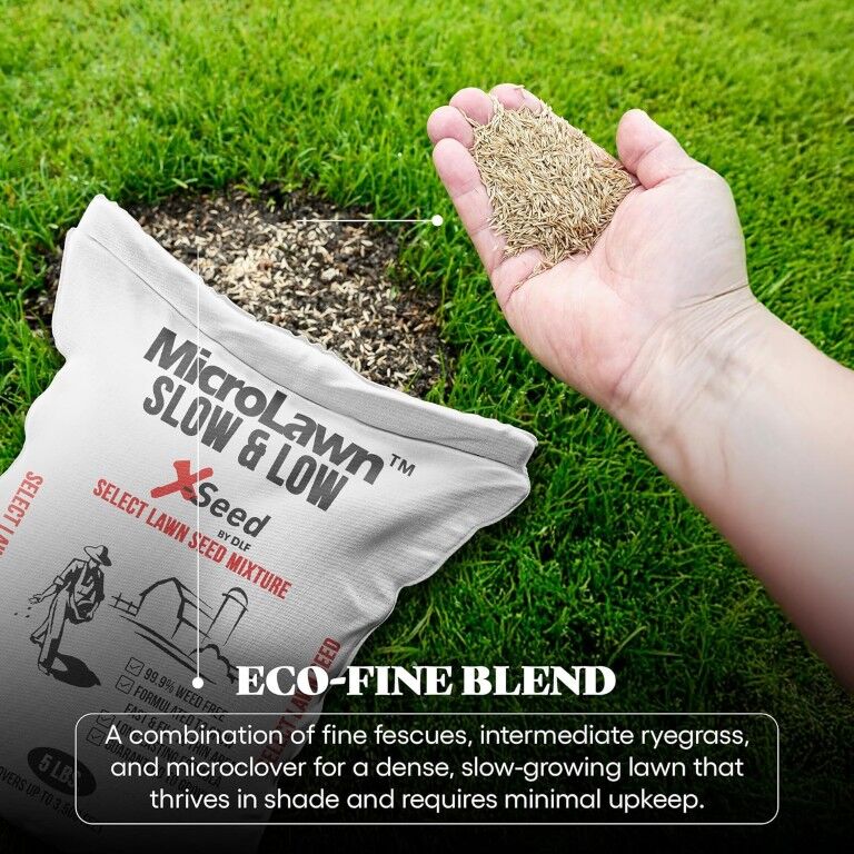 X-Seed MicroLawn Slow & Grow Select Lawn Seen Mixture, 5-Lb