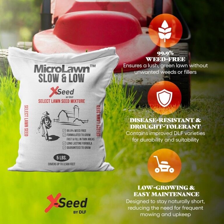X-Seed MicroLawn Slow & Grow Select Lawn Seen Mixture, 5-Lb