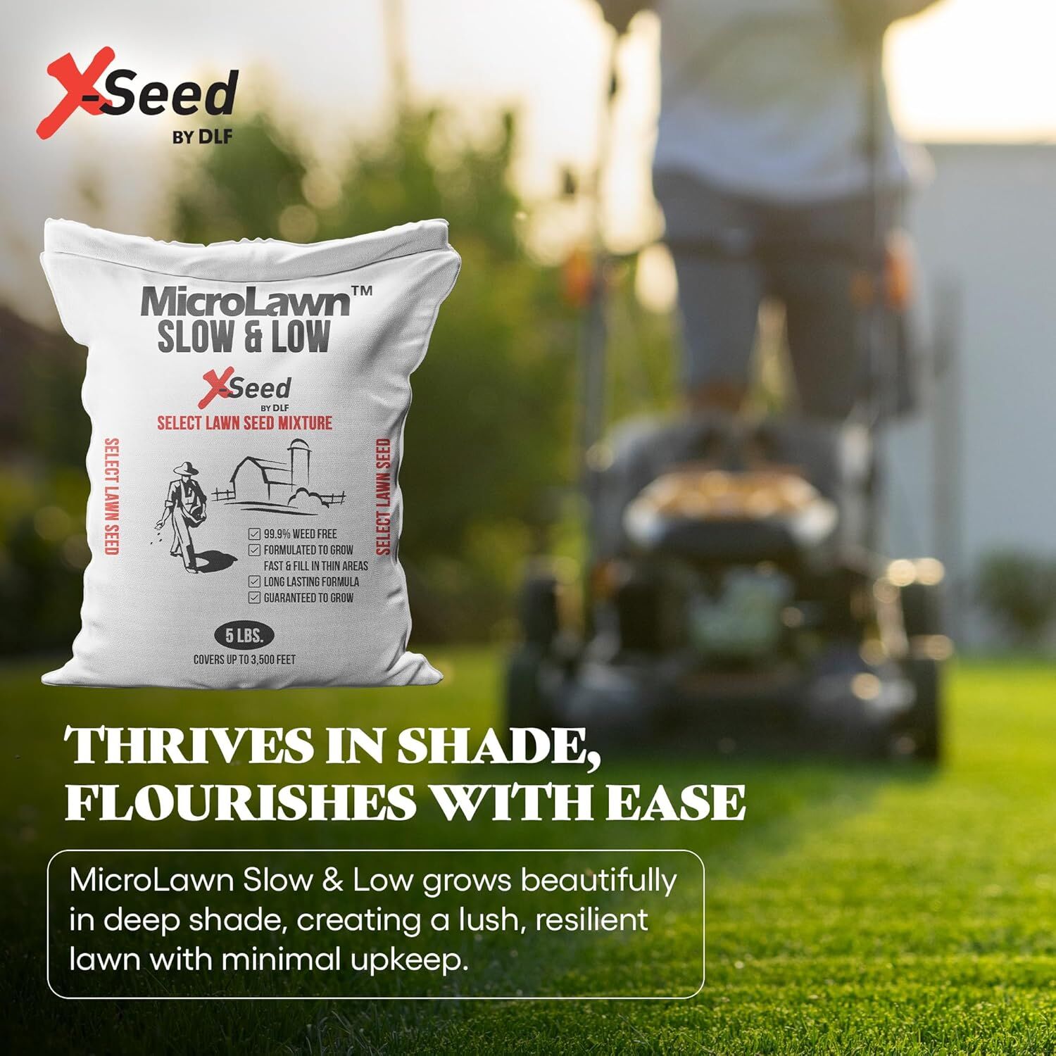 X-Seed MicroLawn Slow & Grow Select Lawn Seen Mixture, 5-Lb