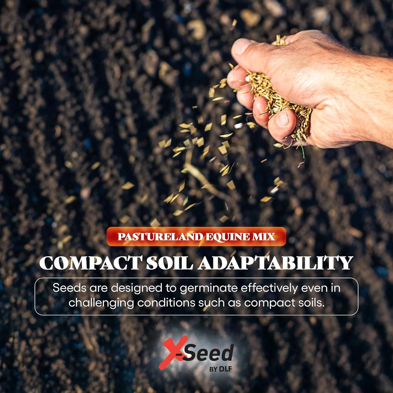 X-Seed Ultra Premium Pastureland Equine Premium Forage Seed Mix, 50-Lb