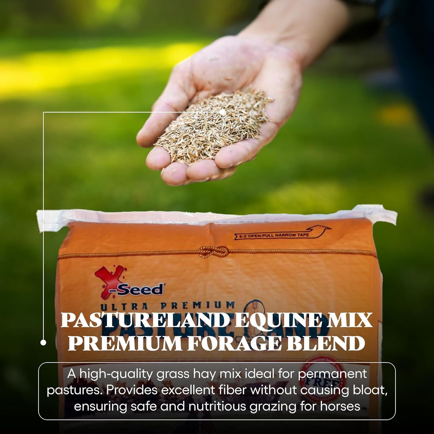 X-Seed Ultra Premium Pastureland Equine Premium Forage Seed Mix, 50-Lb