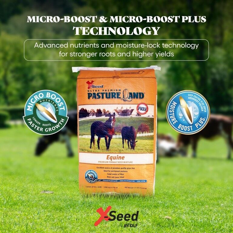 X-Seed Ultra Premium Pastureland Equine Premium Forage Seed Mix, 50-Lb