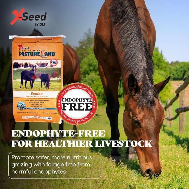 X-Seed Ultra Premium Pastureland Equine Premium Forage Seed Mix, 50-Lb