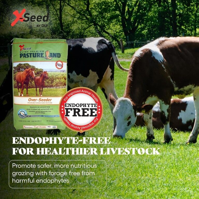X-Seed Ultra Premium Pastureland Over-Seeder Premium Forage Seed Mix, 50-Lb