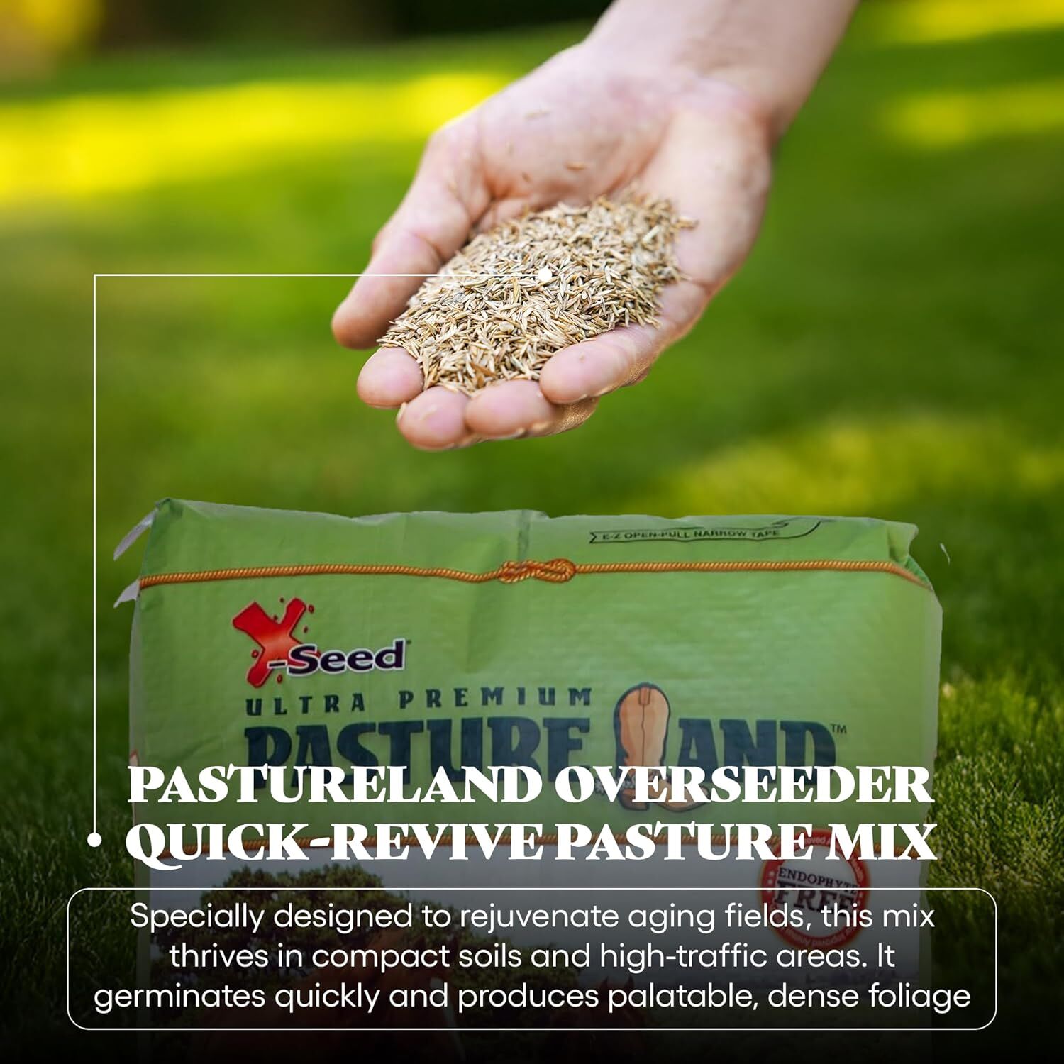 X-Seed Ultra Premium Pastureland Over-Seeder Premium Forage Seed Mix, 50-Lb