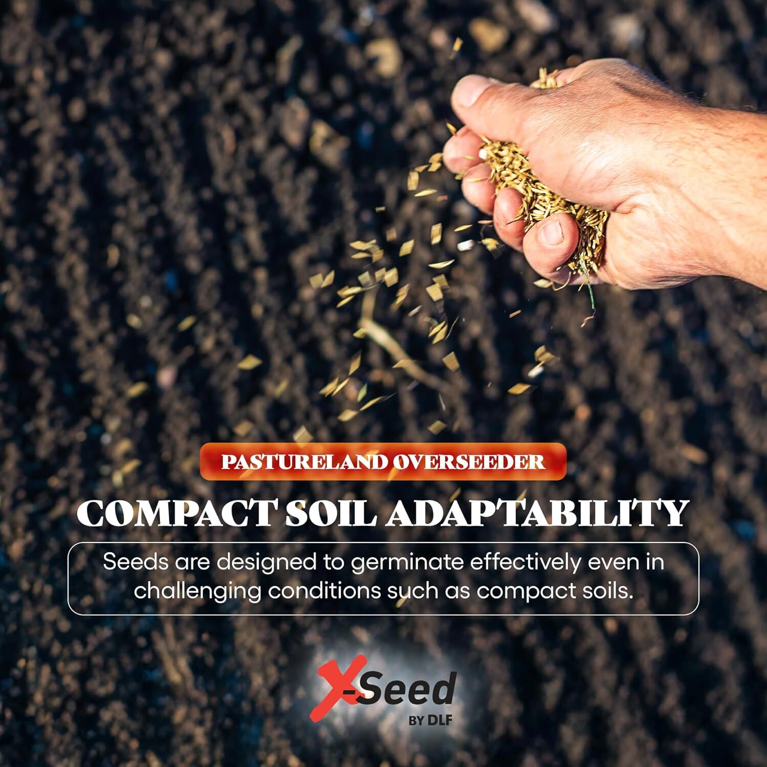 X-Seed Ultra Premium Pastureland Over-Seeder Premium Forage Seed Mix, 50-Lb