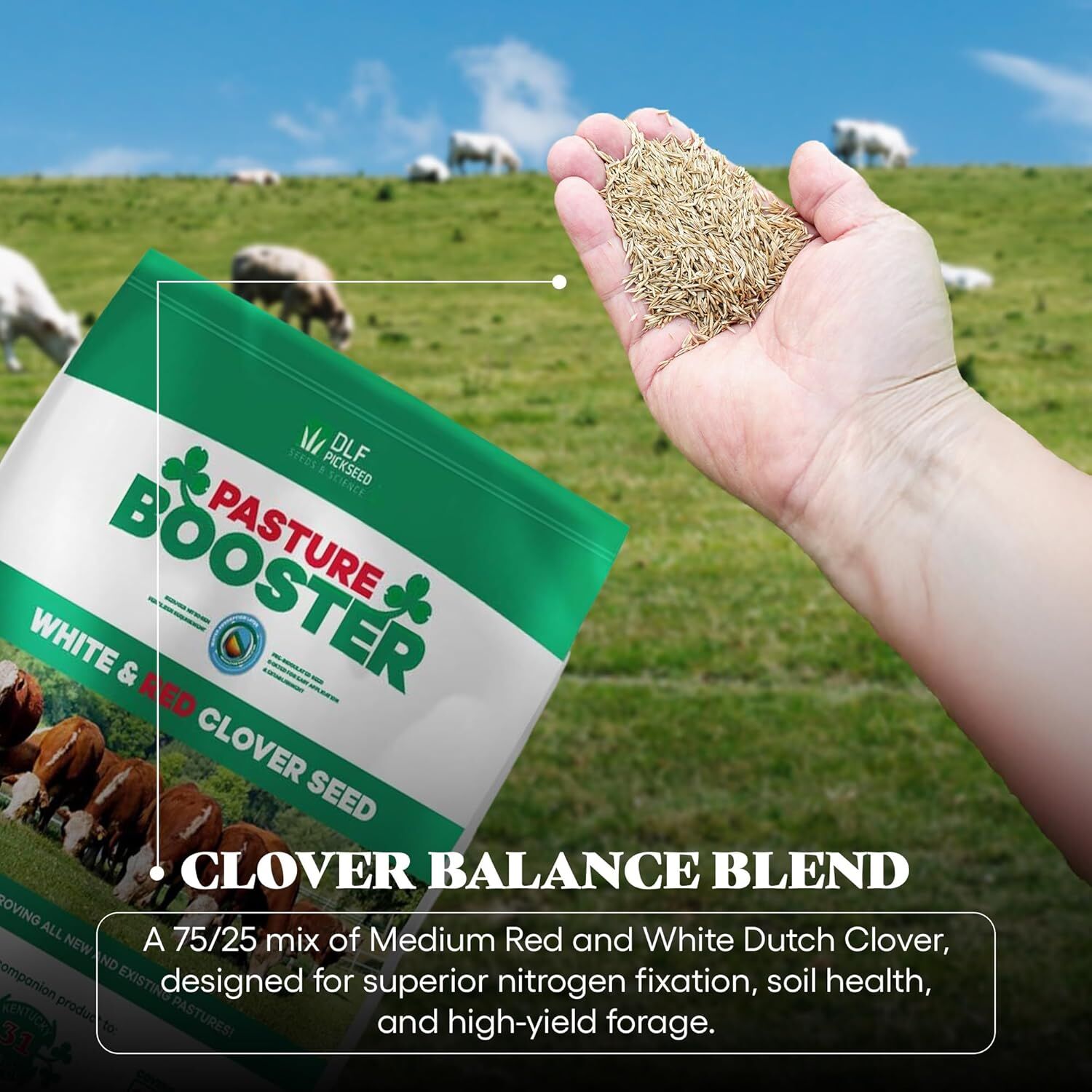Pasture Booster White & Red Clover Seed Mix, 5-Lb