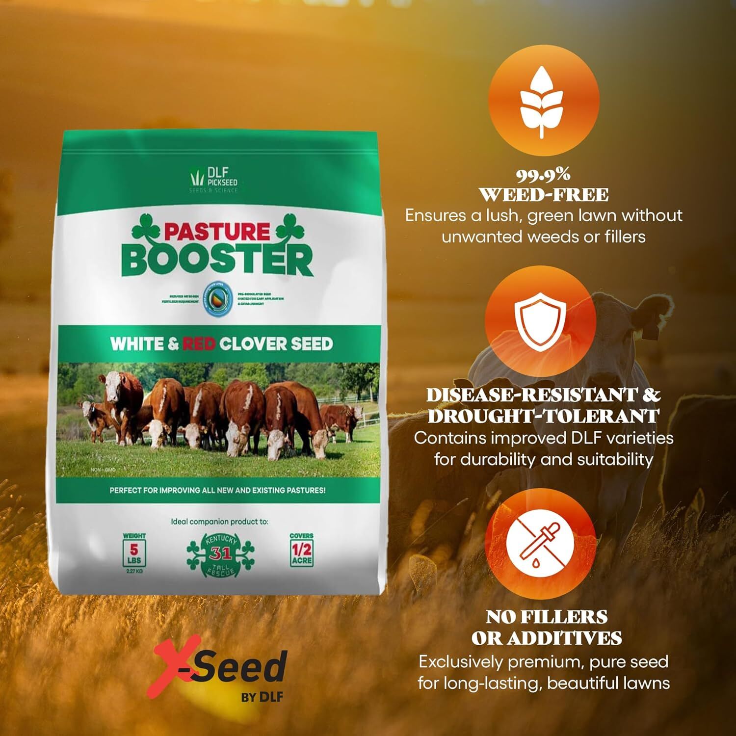 Pasture Booster White & Red Clover Seed Mix, 5-Lb