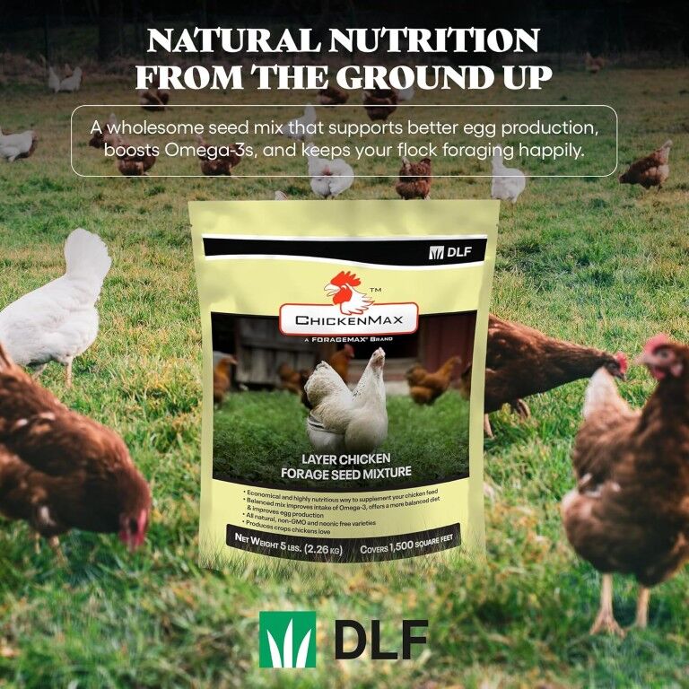 DLF Chicken Max Layer Chicken Forage Seed Mixture, 5-Lb