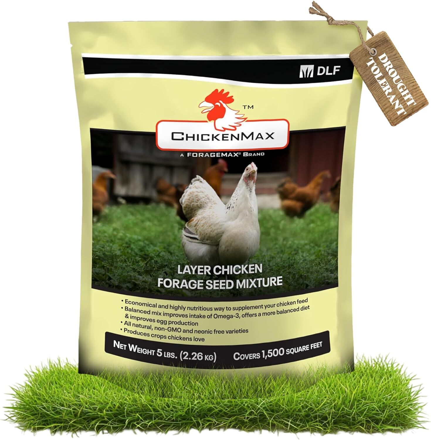 DLF Chicken Max Layer Chicken Forage Seed Mixture, 5-Lb