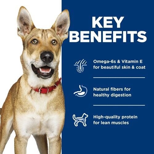 Hill's Science Diet Adult Entree Canned Dog Food Chicken And Beef, 13-Oz, 12-Pk