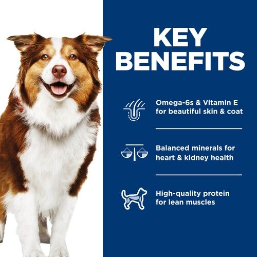 Hill's Science Diet Adult 7+ Entree Canned Dog Food Chicken And Beef, 13-Oz, 12-Pk