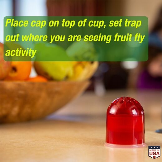 RESCUE! Reusable Fruit Fly Traps, 2-Pk