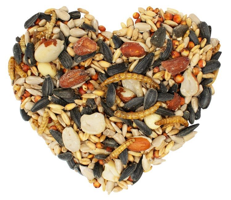 Love My Girls Flax & Worms, 5-Lb