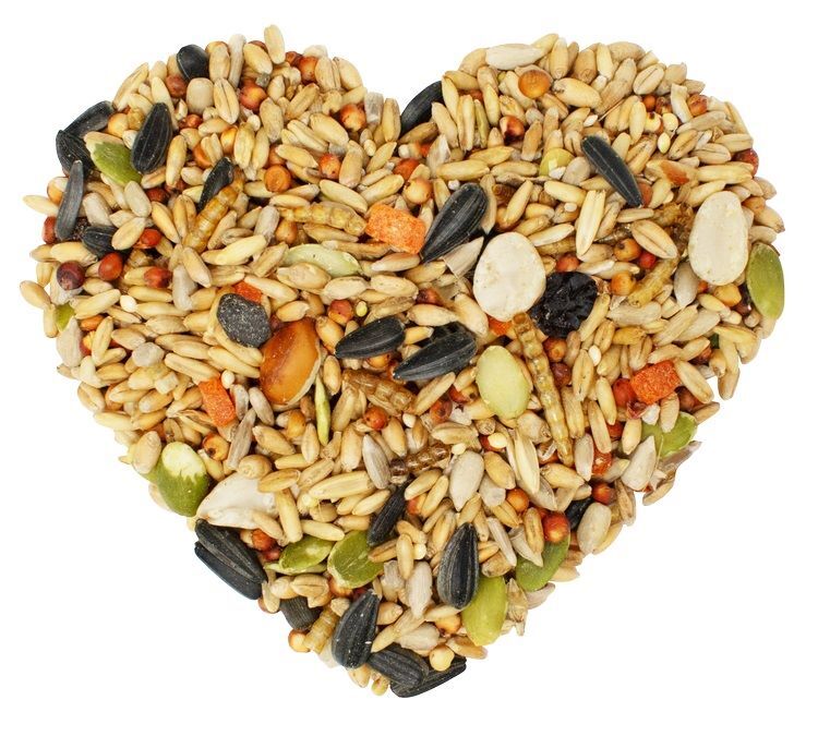 Love My Girls Fruit & Worms, 5-Lb