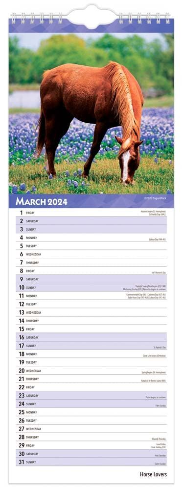 Brown Trout Publisher 2024 Horse Lovers Horse Lovers, 6.75-In x 16.5-In