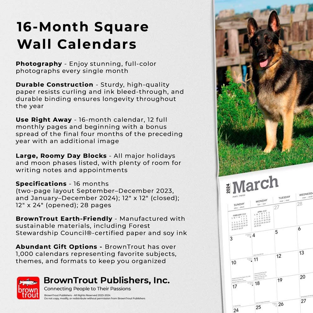 Brown Trout Publisher 2024 German Shepherds Monthly Square Wall Calendar, 12-In x 24-In