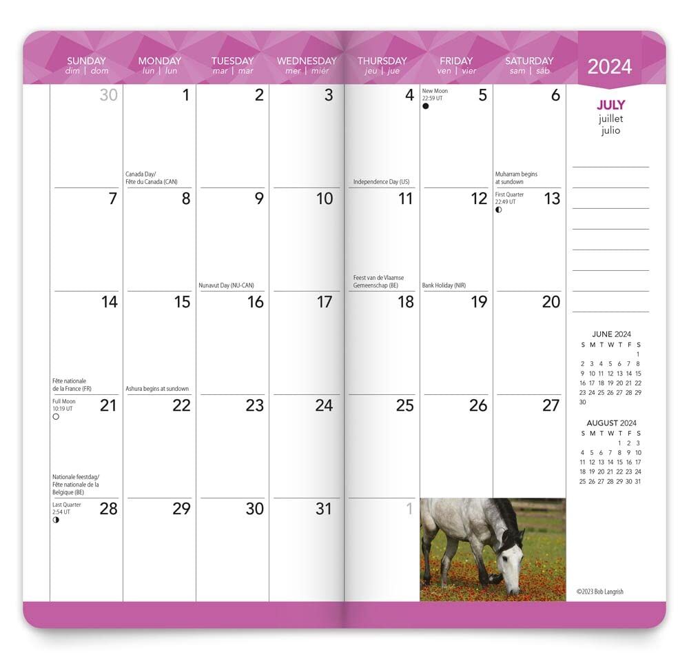 Brown Trout Publisher 2024-2025 Horse Lovers Monthly Pocket Planner Calendar, 3.5-In x 6.5-In