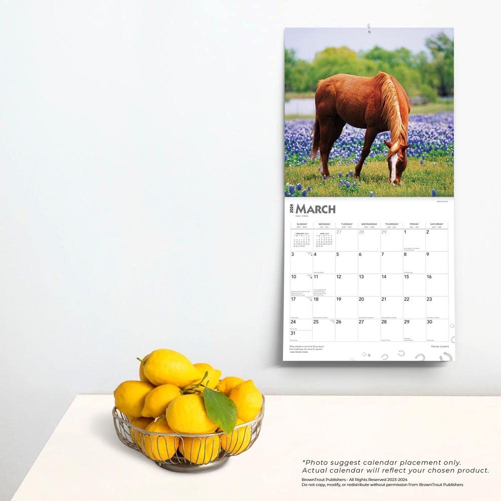 Brown Trout Publisher 2024 Horse Lovers Monthly Square Wall Calendar, 12-In x 24-In