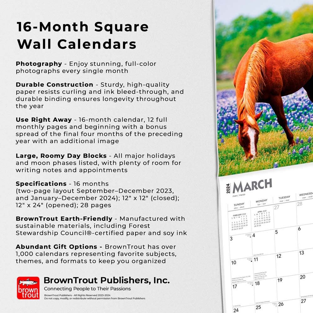 Brown Trout Publisher 2024 Horse Lovers Monthly Square Wall Calendar, 12-In x 24-In