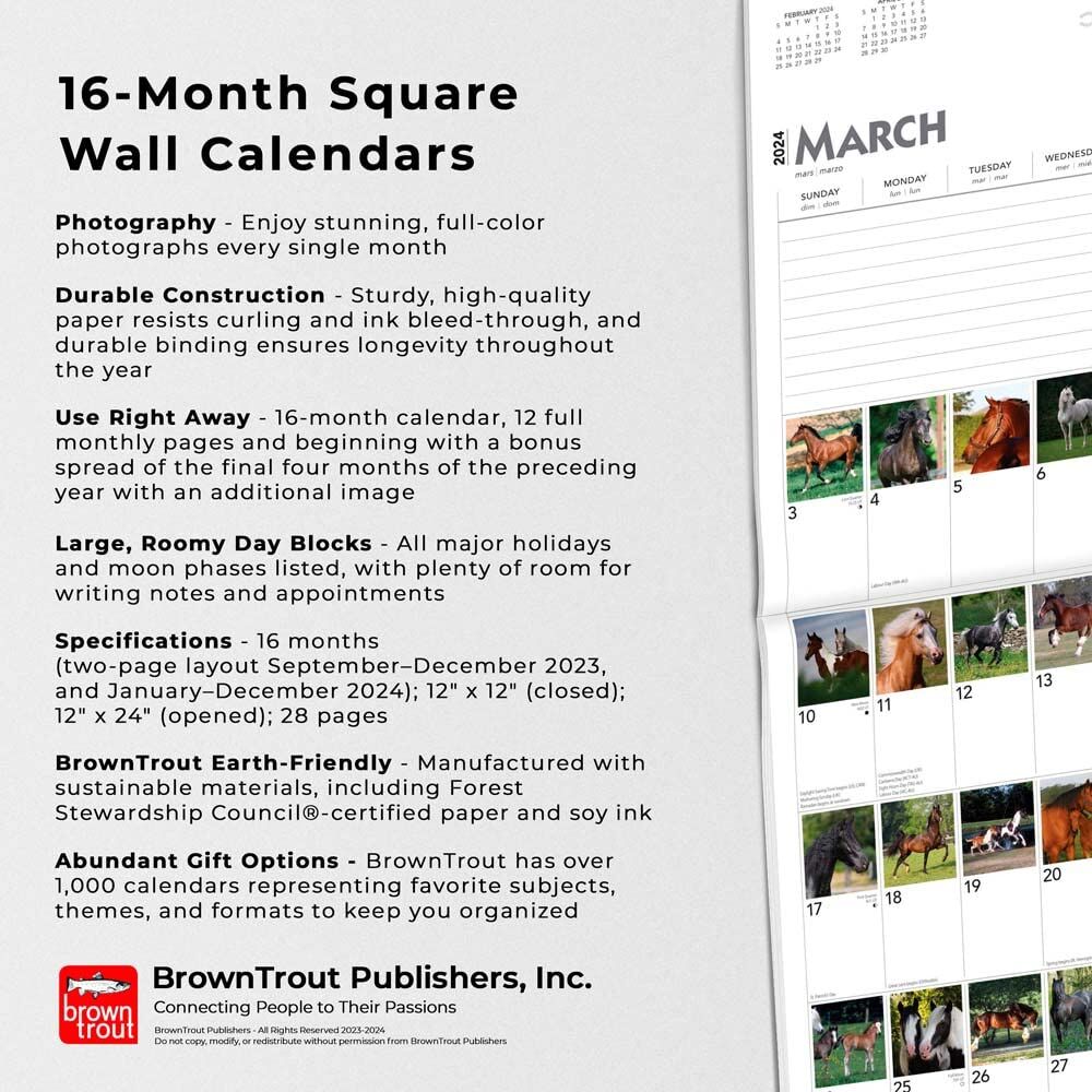 Brown Trout Publisher 2024 366 Days of Horses Monthly Square Wall Calendar, 12-In x 24-In