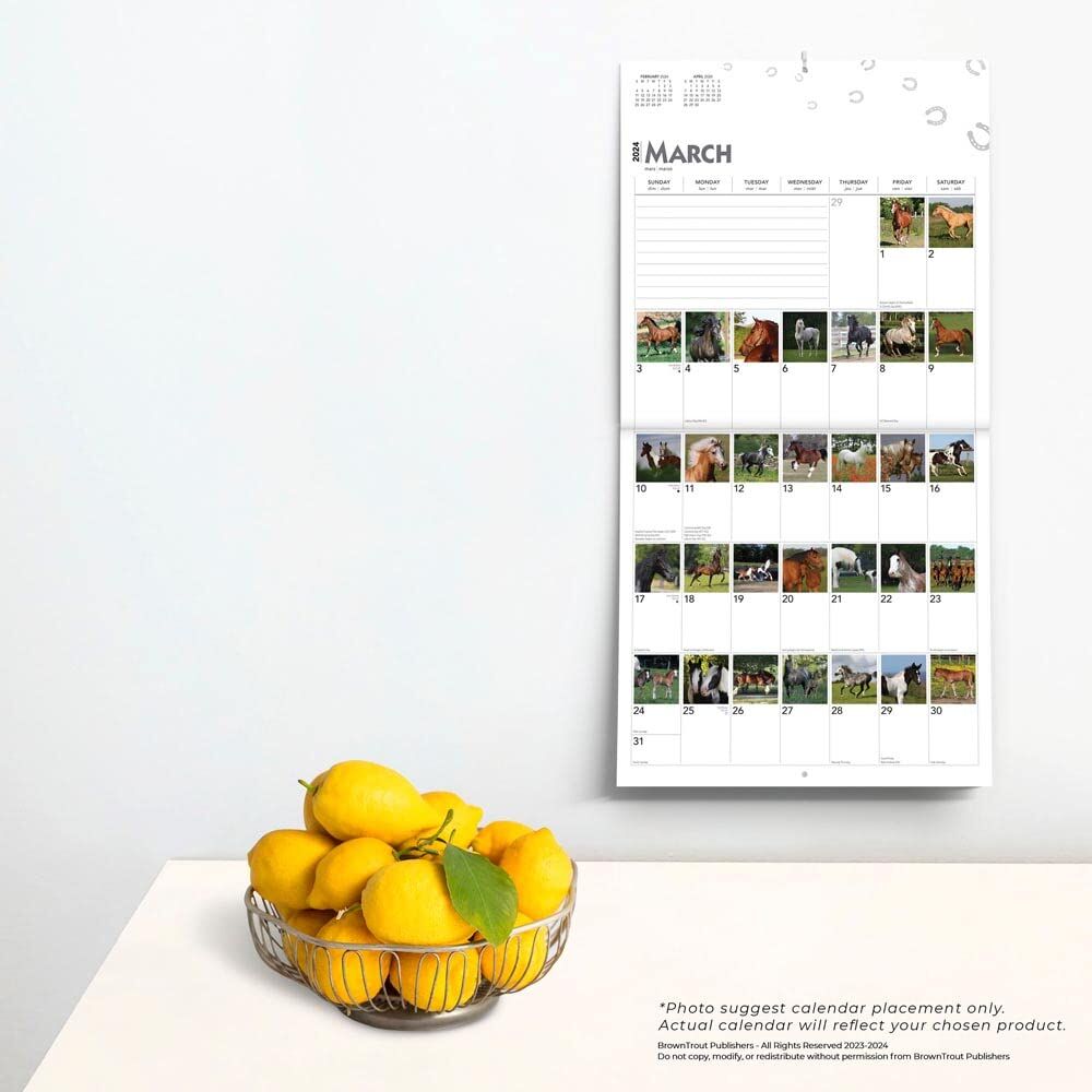 Brown Trout Publisher 2024 366 Days of Horses Monthly Square Wall Calendar, 12-In x 24-In