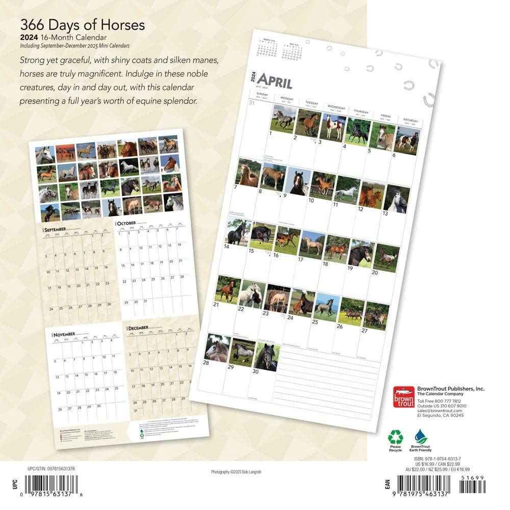Brown Trout Publisher 2024 366 Days of Horses Monthly Square Wall Calendar, 12-In x 24-In