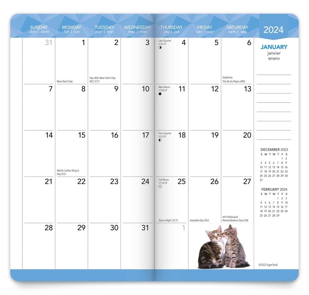 Brown Trout Publisher 2024-2025 Kitten Cuddles Monthly Pocket Planner Calendar, 3.5-In x 6.5-In