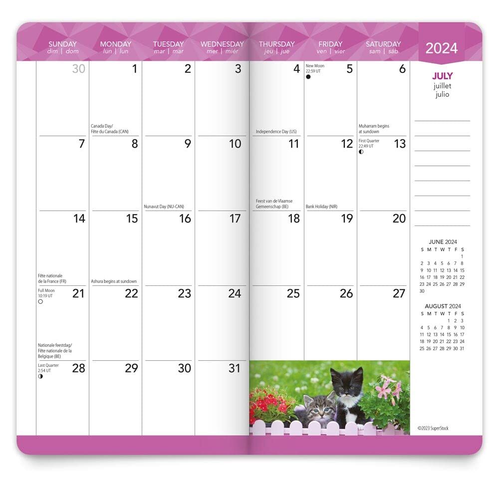 Brown Trout Publisher 2024-2025 Kitten Cuddles Monthly Pocket Planner Calendar, 3.5-In x 6.5-In