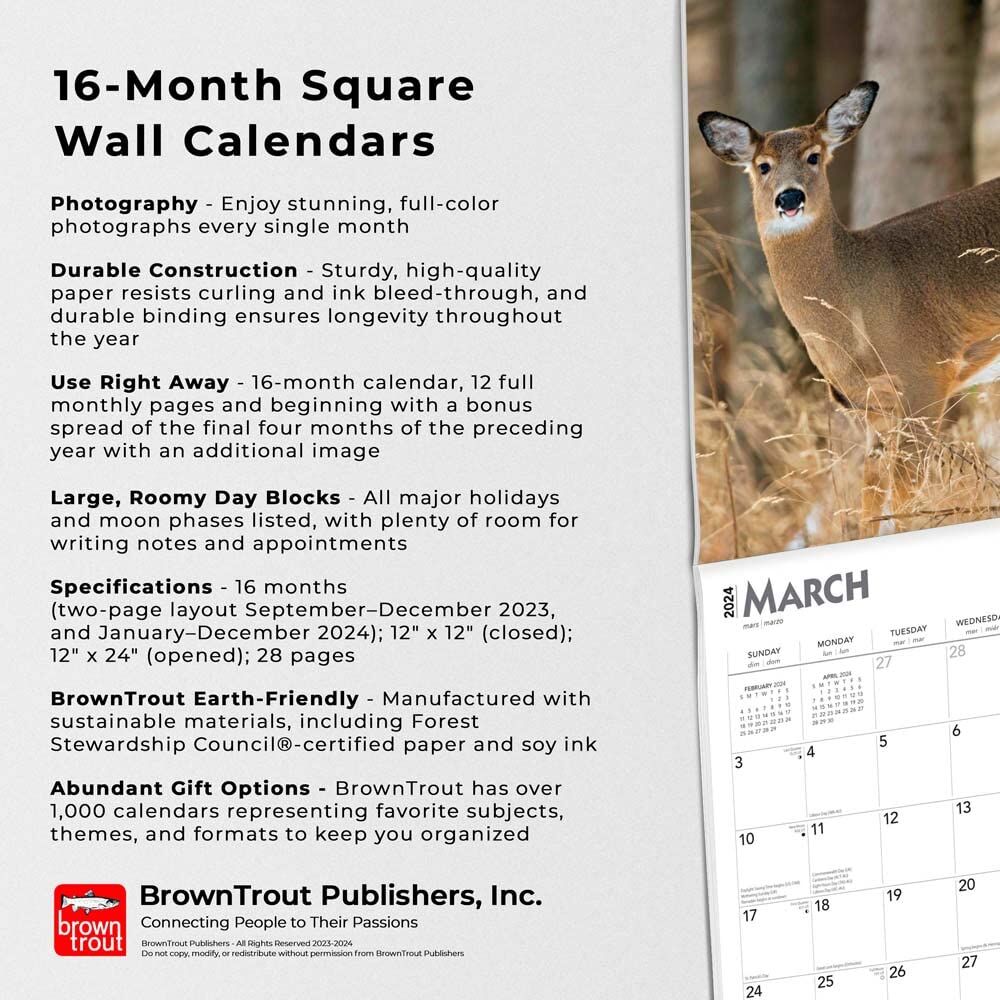 Brown Trout Publisher 2024 White Tailed Deer Monthly Square Wall Calendar, 12-In x 24-In