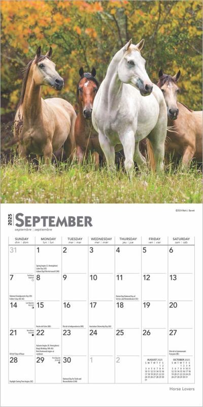 Brown Trout Publisher 2025 Horse Lovers Monthly Mini Wall Calendar, 7-In x 14-In