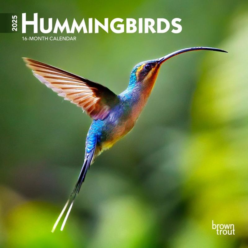 Brown Trout Publisher 2025 Hummingbirds 2025 Monthly Mini Wall Calendar, 7-In x 14-In
