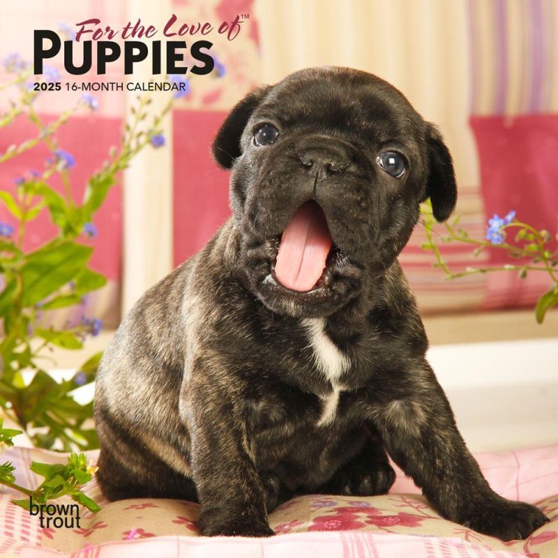 Brown Trout Publisher 2025 For the Love of Puppies Monthly Mini Wall Calendar, 7-In x 14-In