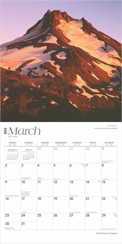 Brown Trout Publisher 2025 Oregon Wild & Scenic Square Wall Calendar, 12-In x 24-In